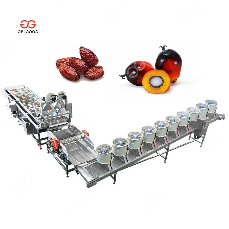 Automatic Date Palm Fruit Washing And Drying Machine Dates Processing Machine