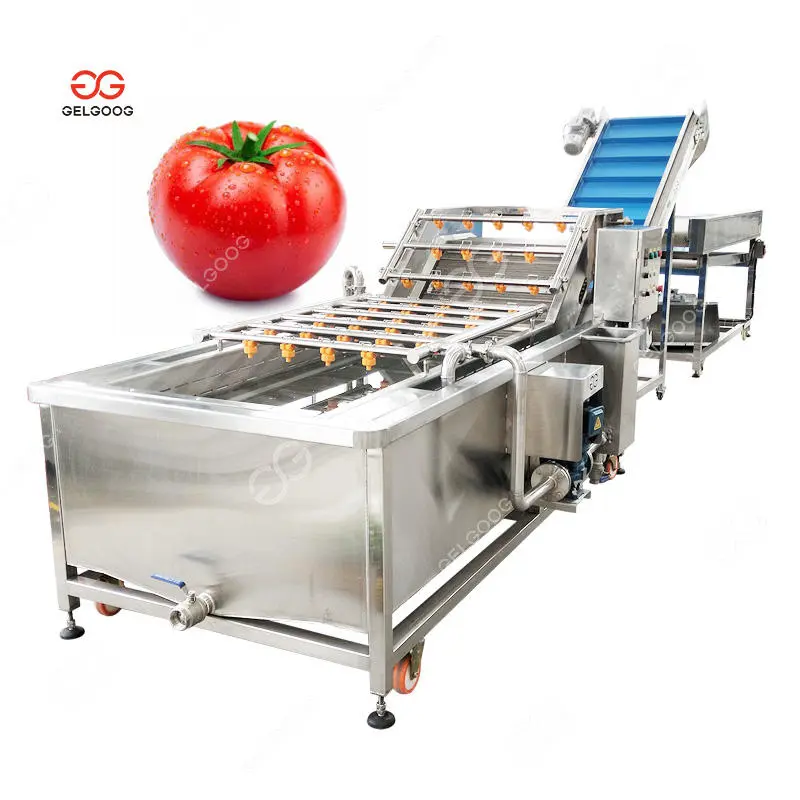 Automatic Date Palm Fruit Washing And Drying Machine Dates Processing Machine