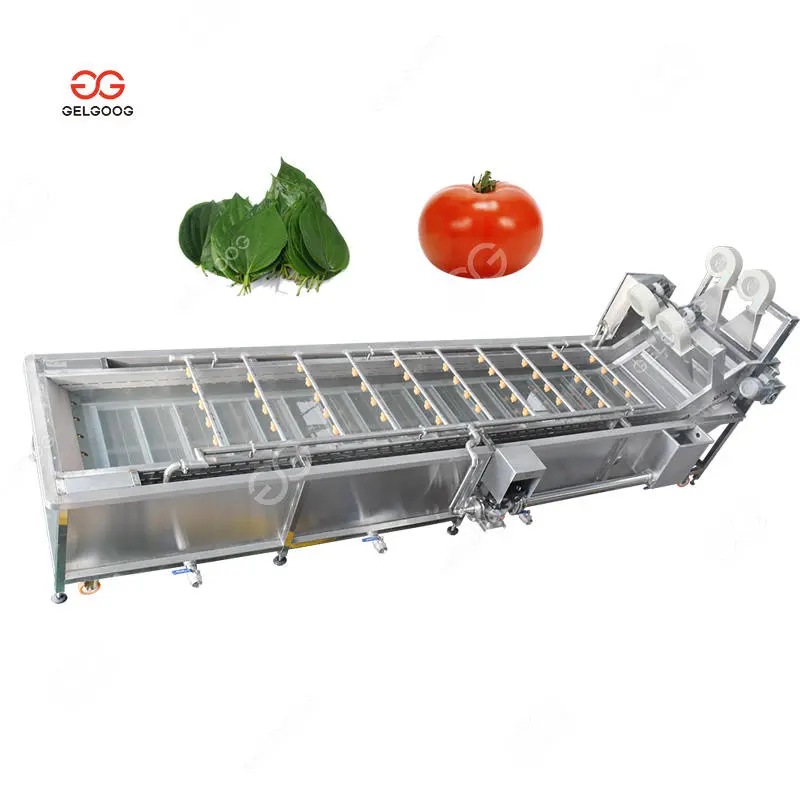 Automatic Date Palm Fruit Washing And Drying Machine Dates Processing Machine