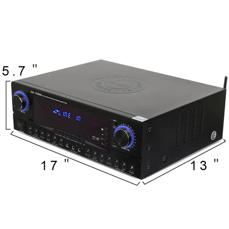 Biner  DS9088  250W*2 Audio Power Amplifier  Professional High Power Amplifier For Conference Home Theater