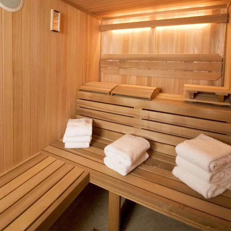 Luxury dry steam infrared sauna room