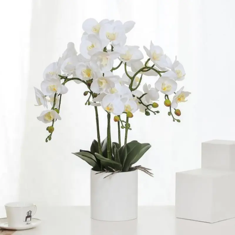 Real touch 3D printing butterfly orchid home garden wedding bouquet artificial white orchid flowers bonsai