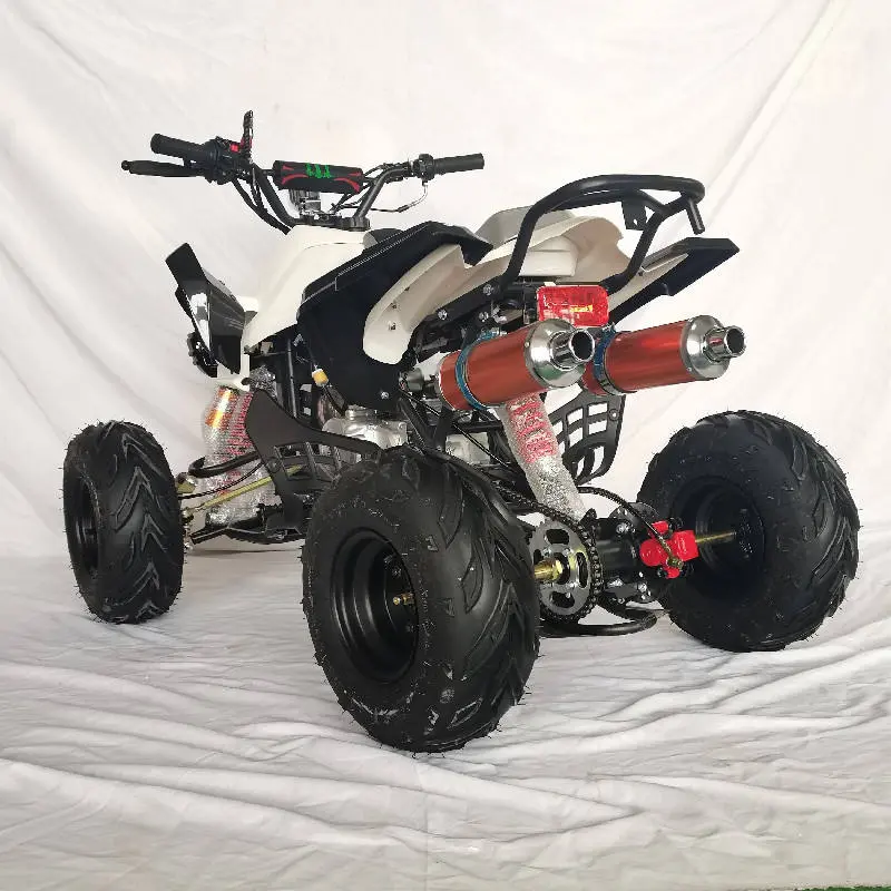 Gasoline Power Dirt Bike  ATV Snow Plow Quad 4 Wheeler For Adults