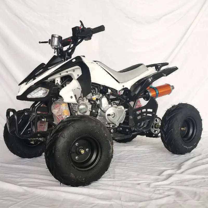 Gasoline Power Dirt Bike  ATV Snow Plow Quad 4 Wheeler For Adults