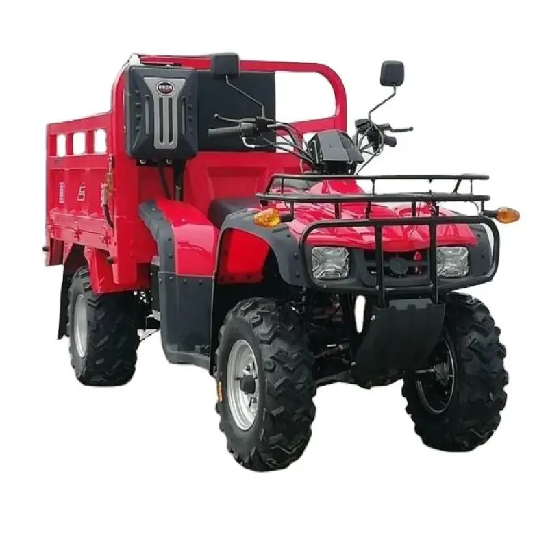 Affordable 250cc,300cc UTV ATV for Commercial Cargo