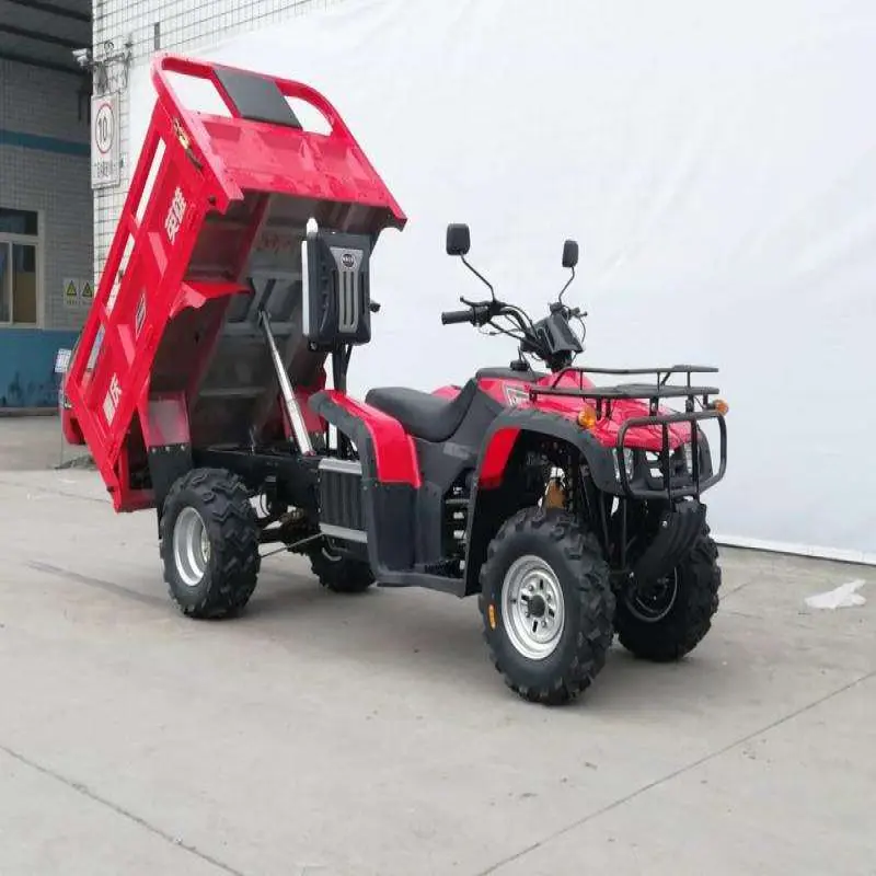 Affordable 250cc,300cc UTV ATV for Commercial Cargo