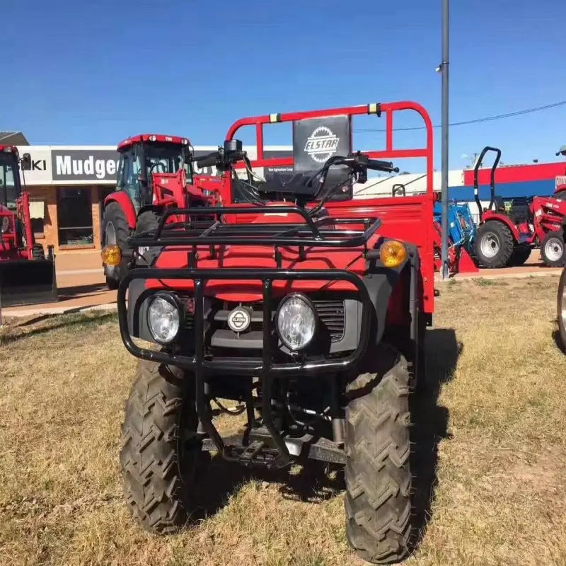 Affordable 250cc,300cc UTV ATV for Commercial Cargo