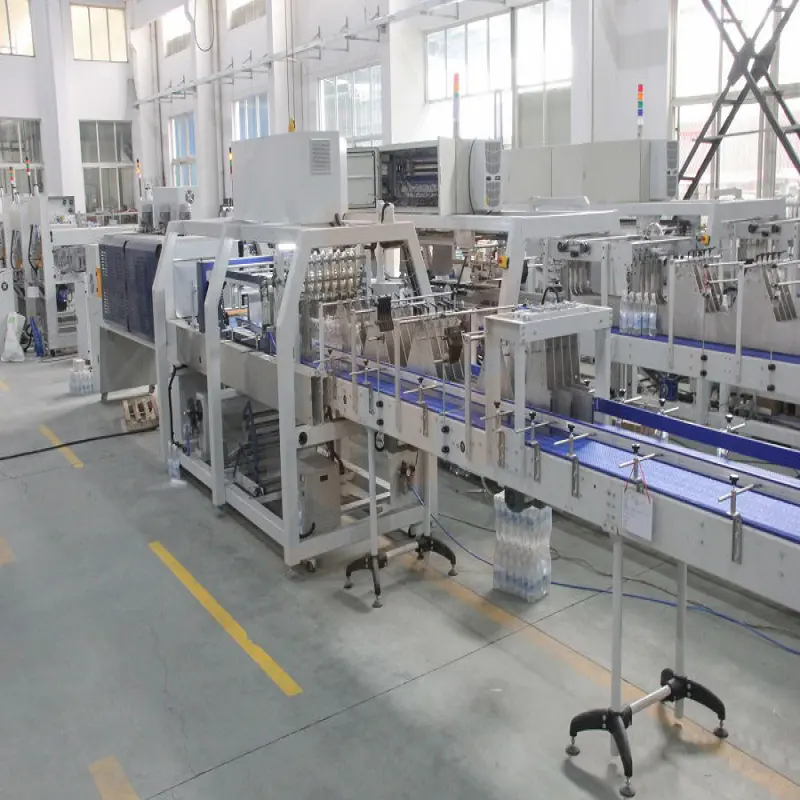 The Complete Water Production Line Includes Blowing Water Treatment,Filling,Labelling and Wrapping Machine