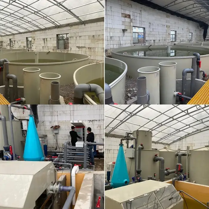 High density recirculating aquaculture systems ras prawn for fish farming