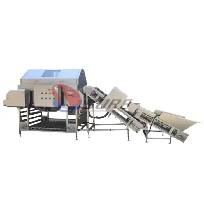 1ton Onion Peeler Machine Small Onion Peeling Machine  Peeler Machine Onions