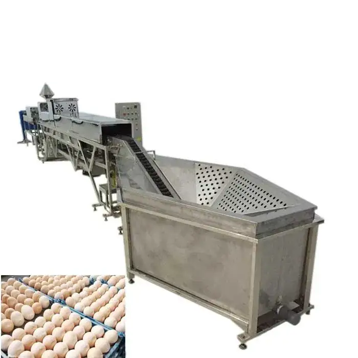 Brush type automatic egg washer