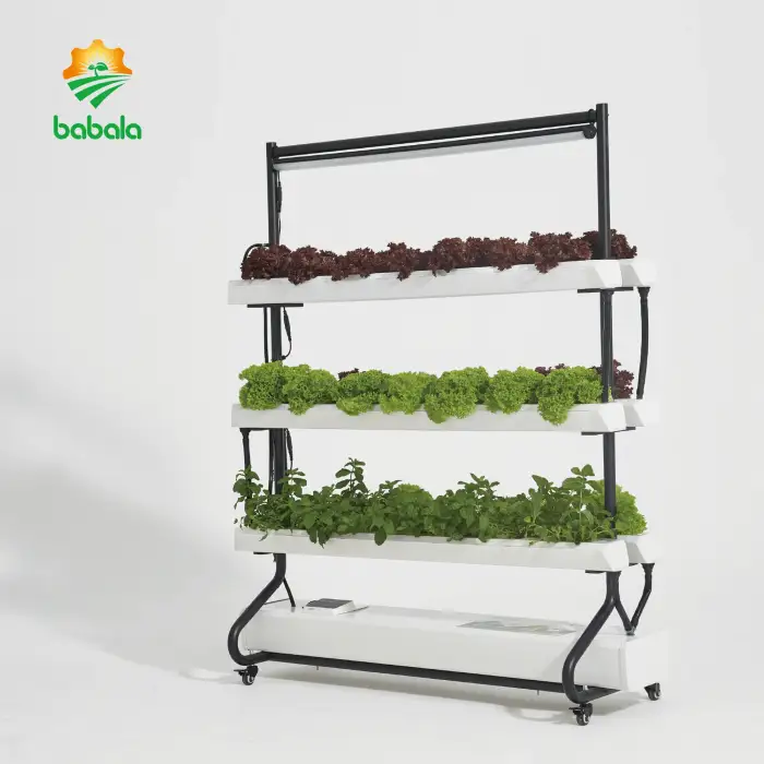 Smart  Agriculture greenhouse Vertical Garden hydroponics system