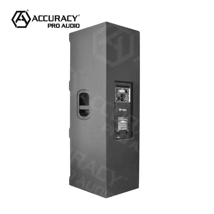 Accuracy Pro Audio WQ215D3-4.6K Professional Audio Active PA Speaker System 1000W Wooden Two-Way Active Speaker