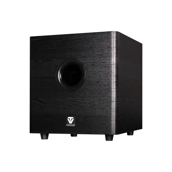 Tone winner Dolby Atmos 5.1.2 bluetooth home theatre system hang on wall