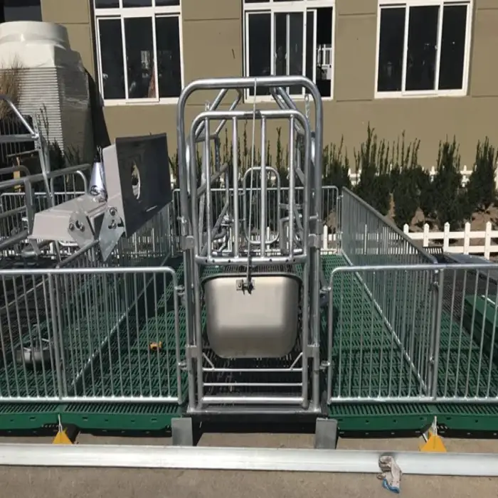 Stainless steel Pig farrowing crate for farm