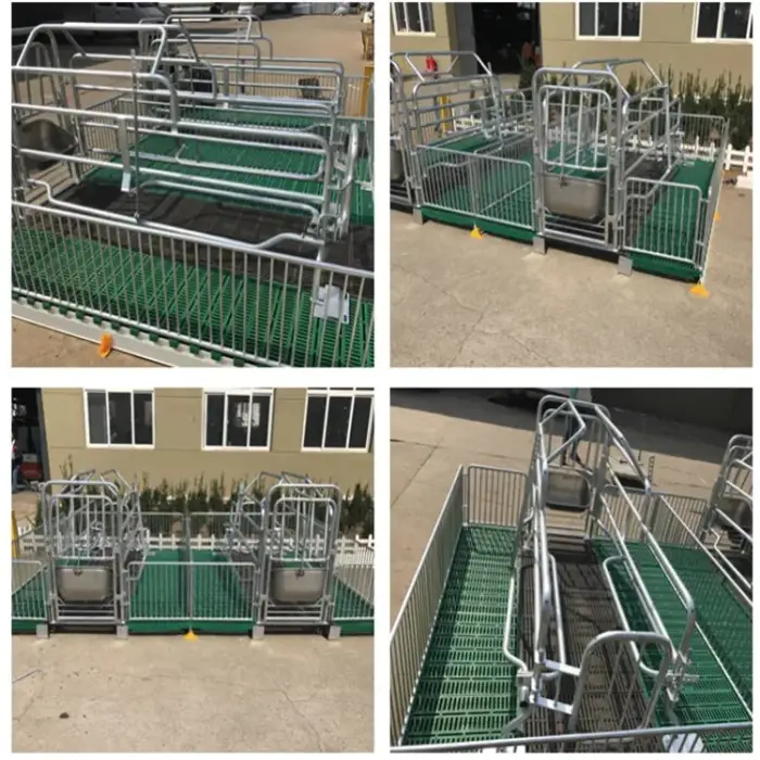 Stainless steel Pig farrowing crate for farm