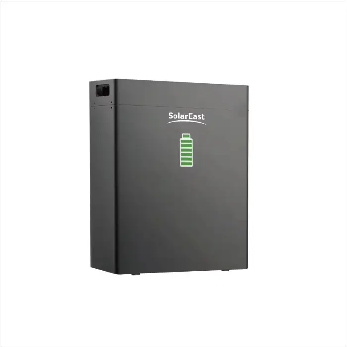 Solareast Wall Mounted Lithium Ion Home Batterie Lifepo4 Solar Energy Storage Battery For Energy System