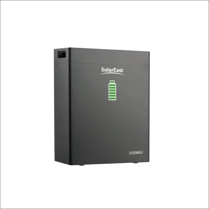 Solareast Wall Mounted Lithium Ion Home Batterie Lifepo4 Solar Energy Storage Battery For Energy System