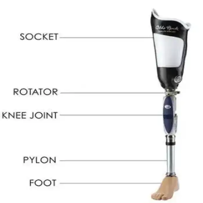 Medical Implant Prosthetic leg artificial Limbs Manufacturer