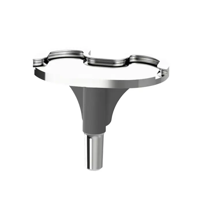 Knee Prosthesis Manufacturer Orthopedic Artificial Prosthetic Knee Implants Total Knee Replacement