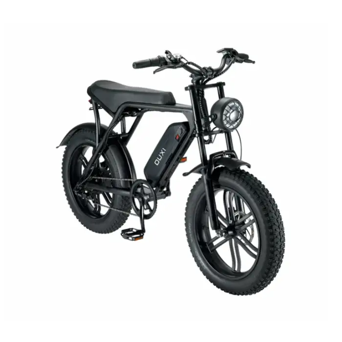 Cycling Electric Bike Fat Tyre Bike Cycle E Bicycle Motor Moped Electric Saikal