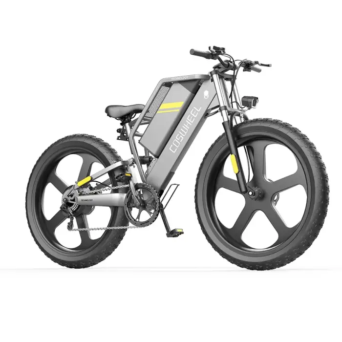 FTN T26  Electric Bike Removable Battery Cycle Baik E-bike Electric City Bike