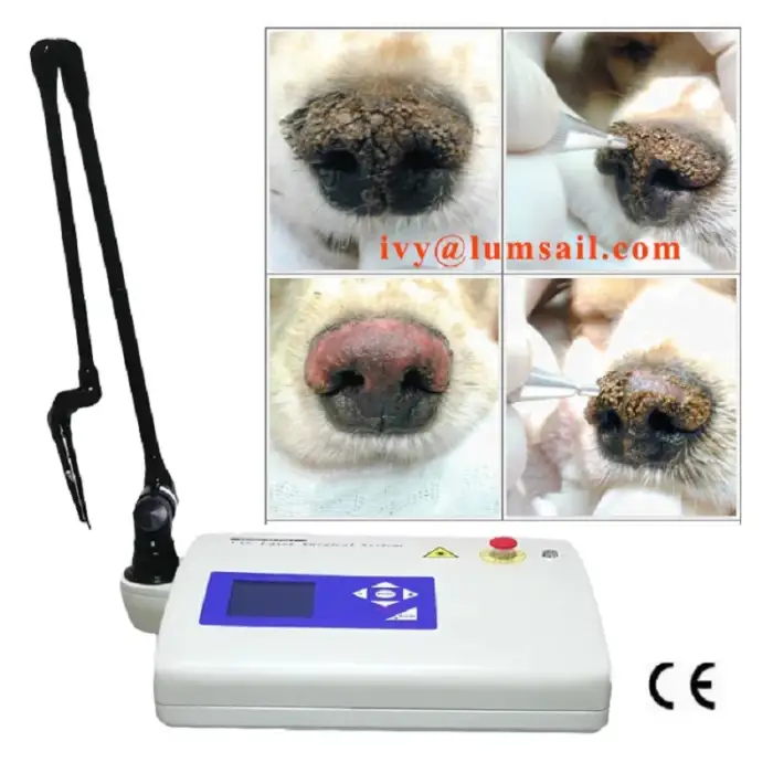 Laser Co2 15W For Veterinaria use Portable Veterinary Surgical CO2 Laser Cutting System Surgery CO2 Laser Machine