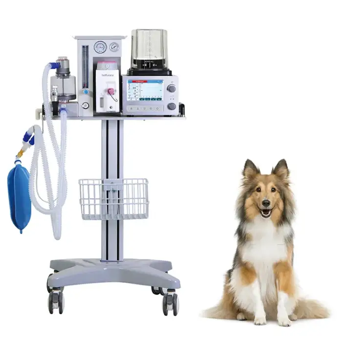 75L min veterinary gas anaesthesia device for pet