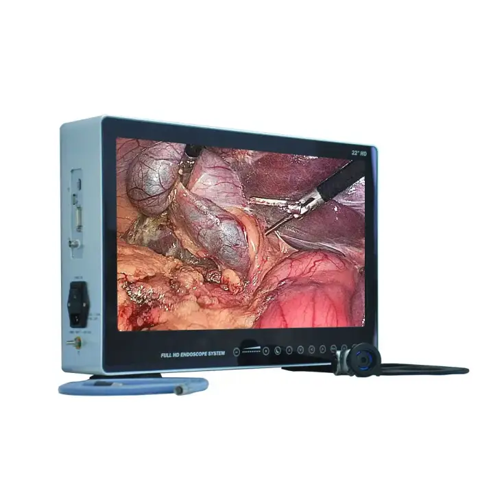 Endoscopy Endoscope HD 4K Camera System With LED Cold Light Source Medical Endoscope Camera Machine OEM  Available