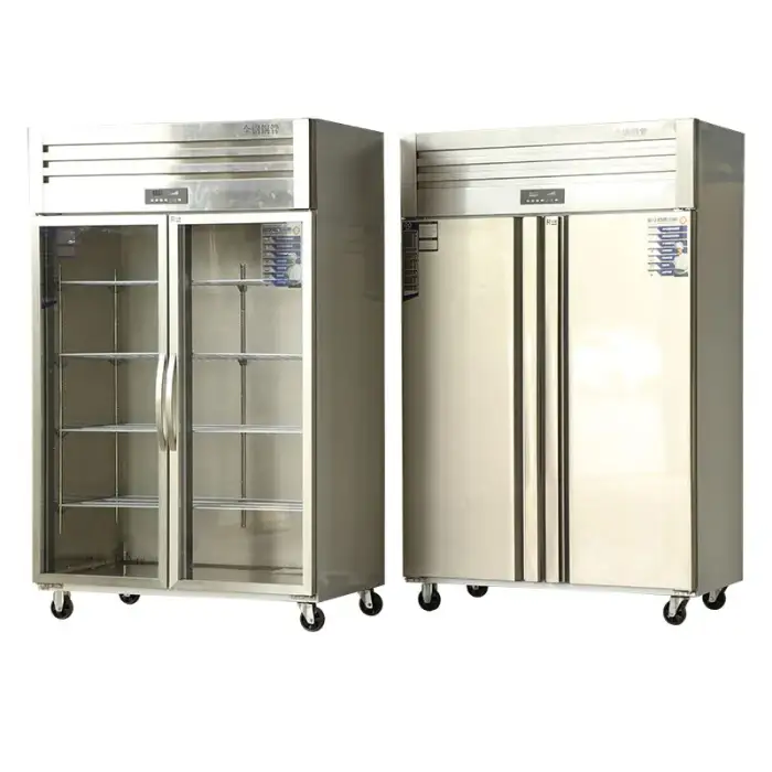 Double Door Freezer Stainless Steel Commercial Refrigerator Hotel Kitchen Supermarket