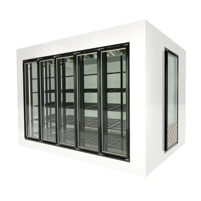 Commercial Display freezer glass door with shelves 5 door