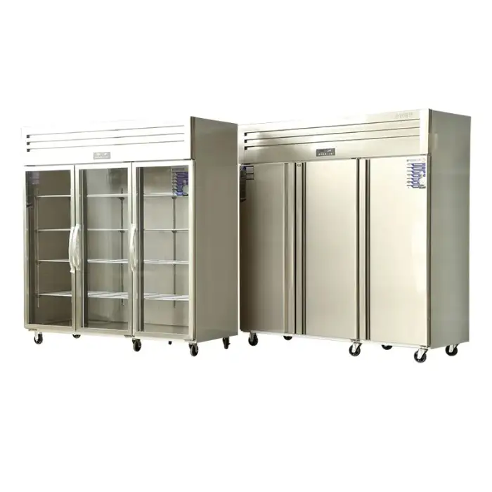 Double Door Freezer Stainless Steel Commercial Refrigerator Hotel Kitchen Supermarket