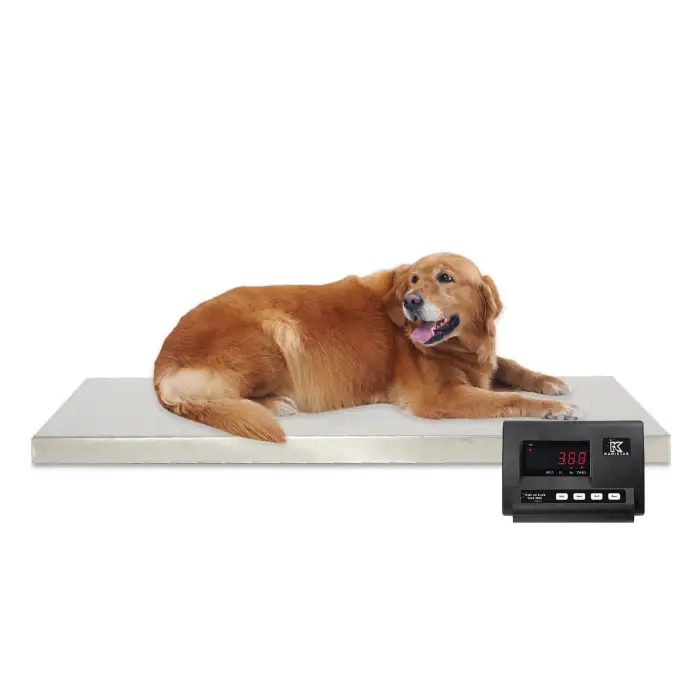 WOS-4824 stainless steel cat weight scale veterinary electronic animal floor scale