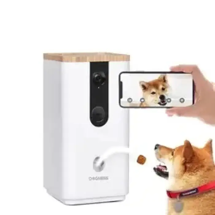 Intelligent training smart pet toy for pet