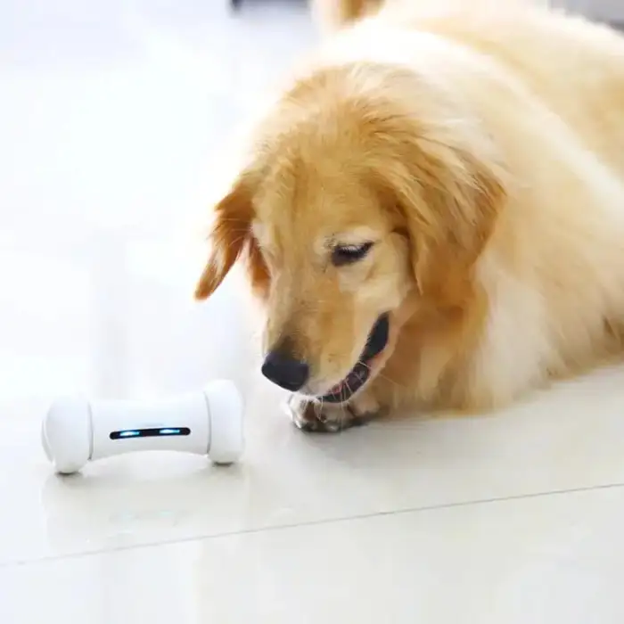 Worlds First Smart And Interactive Dog Toy Electronic toy