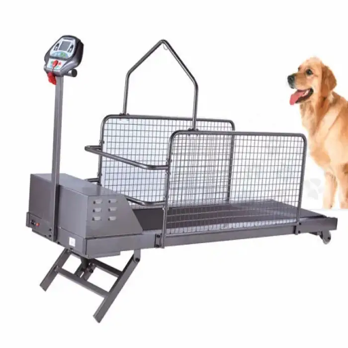 Professional Veterinary Equipment Dog Treadmill Walking Machine Pets Electronic Pet Treadmill For Dog Running