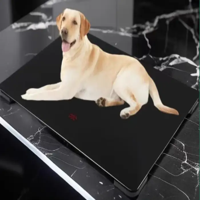 Ultra-thin electronic scales for pets stainless steel electric for pet