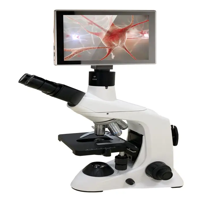 Medical Biological Microscope for Clinical Examination and Diagnosis for Vet Hospitals