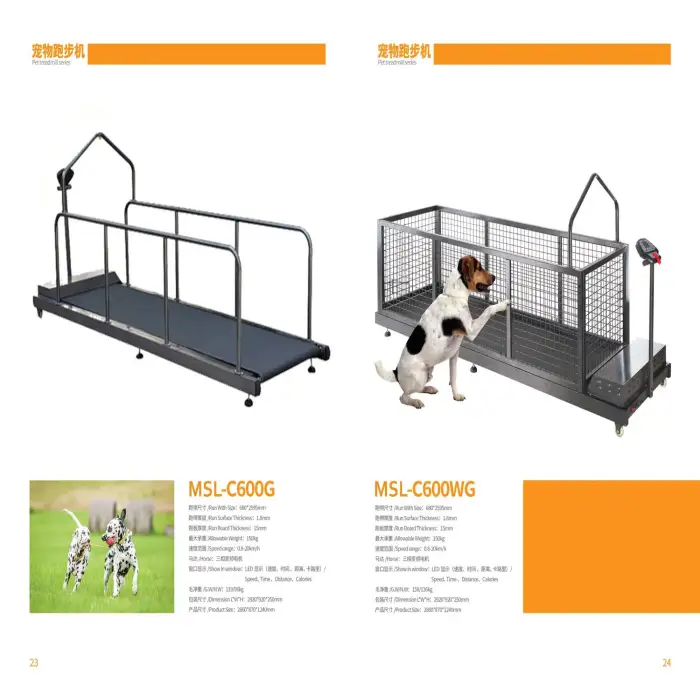 Pet Treadmill Indoor