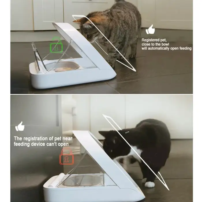 Automatic Pet Feeder