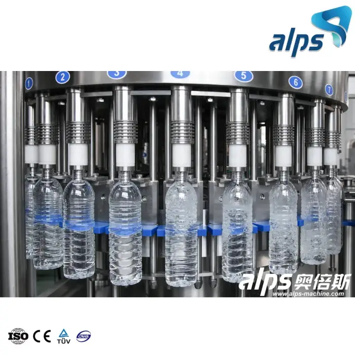 Pure Water Treatment System Manufacturers 1000 Bph Bottle Filling Machine Mineral Plant Price Gravity