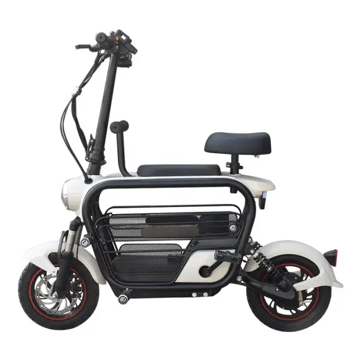 Adult and Baby Pet Carrier electric bikes