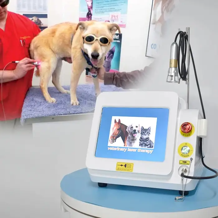 Veterinary Animal Pet 980nm Class IV Physiotherapy Pain Relief Diode Laser Machine