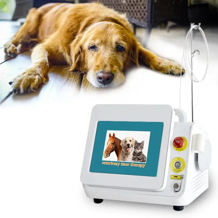 Veterinary Animal Pet 980nm Class IV Physiotherapy Pain Relief Diode Laser Machine