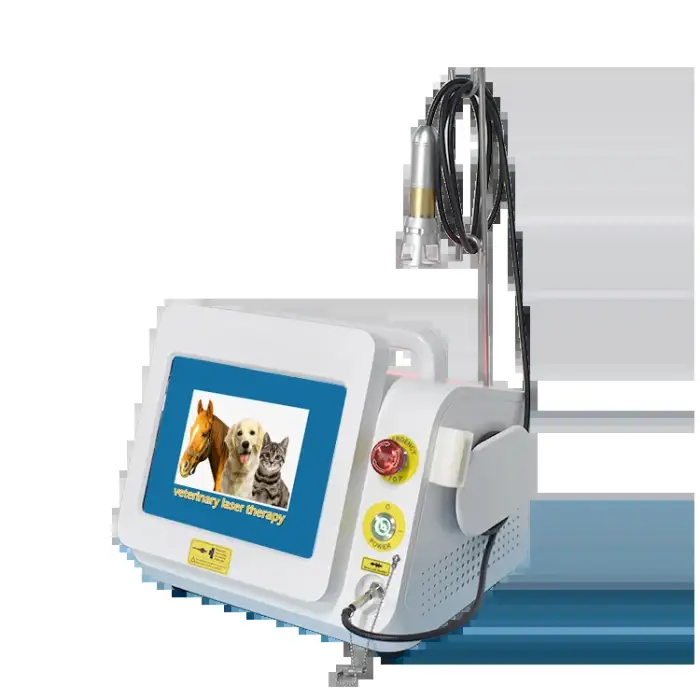 Veterinary Animal Pet 980nm Class IV Physiotherapy Pain Relief Diode Laser Machine