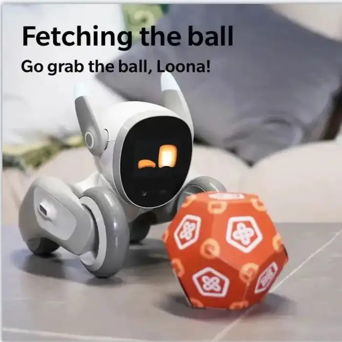 Loona Intelligent Robot for Interactive Programming