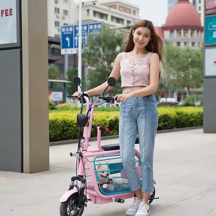 400watt power electric bicycle foldable electric scooter with pet basket