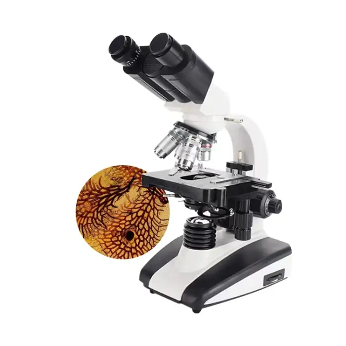 CX43 Olympus Digital Biological Binocular Microscope with LED light for Lab and School