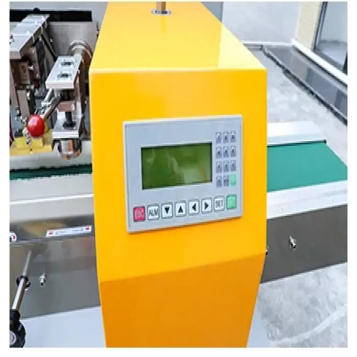 Fully Automatic Lemon Passion Fruit Walter Mandarin Mangosteen Flow Packing Machine With Plastic Bag