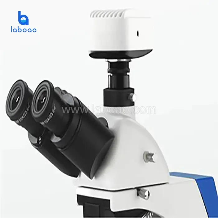 Laboao High-Performance Biological Fluorescence Microscope with Integrated Camera for Laboratory Use